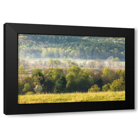 Foggy meadow at sunrise-Cades Cove-Smoky Mountains National Park-Tennessee Black Modern Wood Framed Art Print by Jones, Adam