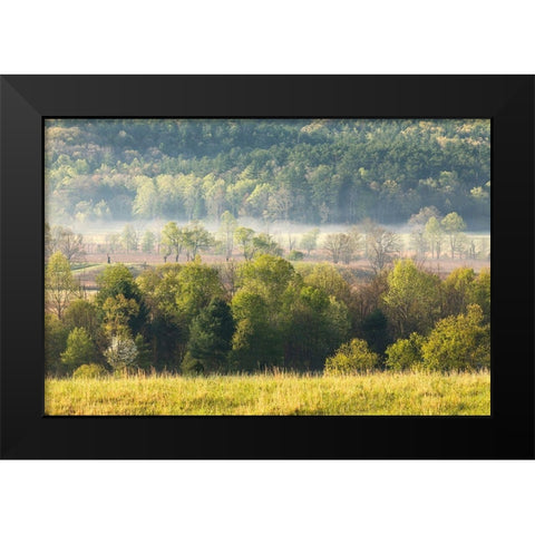 Foggy meadow at sunrise-Cades Cove-Smoky Mountains National Park-Tennessee Black Modern Wood Framed Art Print by Jones, Adam