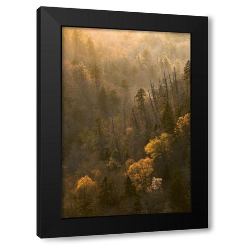 Spring sunset from Morton Overlook-Great Smoky Mountains National Park-Tennessee Black Modern Wood Framed Art Print with Double Matting by Jones, Adam