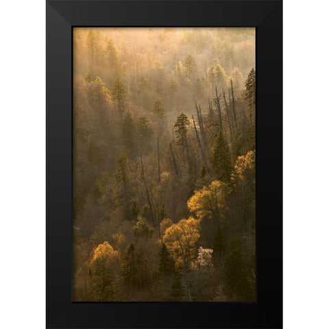 Spring sunset from Morton Overlook-Great Smoky Mountains National Park-Tennessee Black Modern Wood Framed Art Print by Jones, Adam