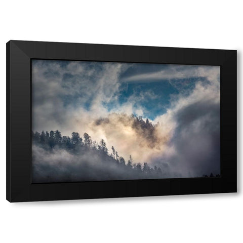 Mist and sunlight in the mountains-Great Smoky Mountain National Park-Tennessee Black Modern Wood Framed Art Print with Double Matting by Jones, Adam