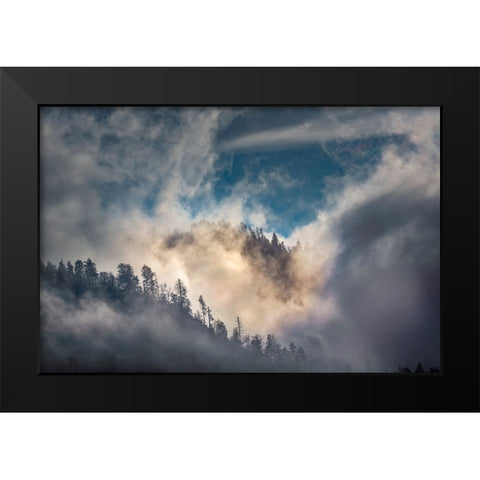 Mist and sunlight in the mountains-Great Smoky Mountain National Park-Tennessee Black Modern Wood Framed Art Print by Jones, Adam