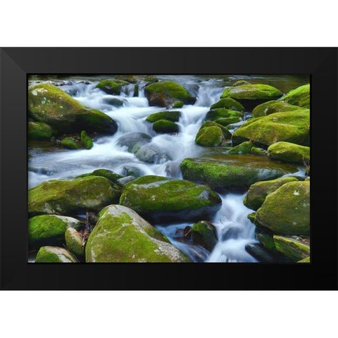 Water Falling over Boulders on Roaring Fork Motor Nature Trail Black Modern Wood Framed Art Print by Miller, Anna