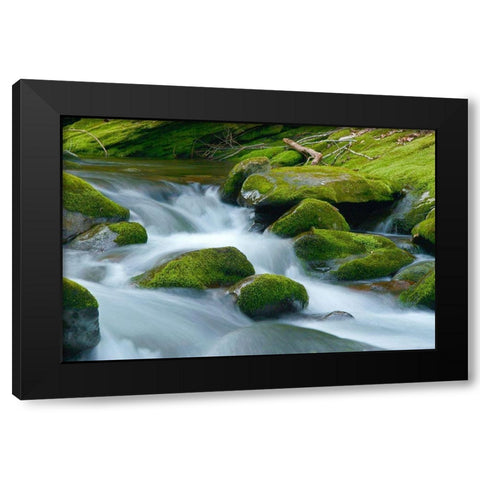 Water Falling over Boulders on Roaring Fork Motor Nature Trail Black Modern Wood Framed Art Print with Double Matting by Miller, Anna