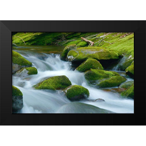 Water Falling over Boulders on Roaring Fork Motor Nature Trail Black Modern Wood Framed Art Print by Miller, Anna
