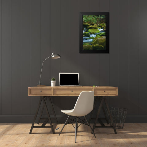 Water Falling over Boulders on Roaring Fork Motor Nature Trail Black Modern Wood Framed Art Print by Miller, Anna