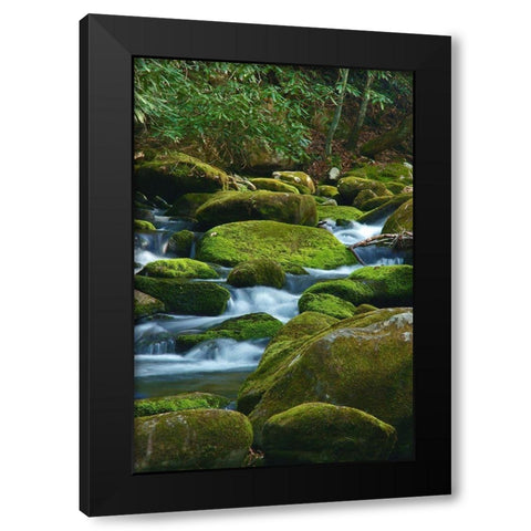 Water Falling over Boulders on Roaring Fork Motor Nature Trail Black Modern Wood Framed Art Print by Miller, Anna