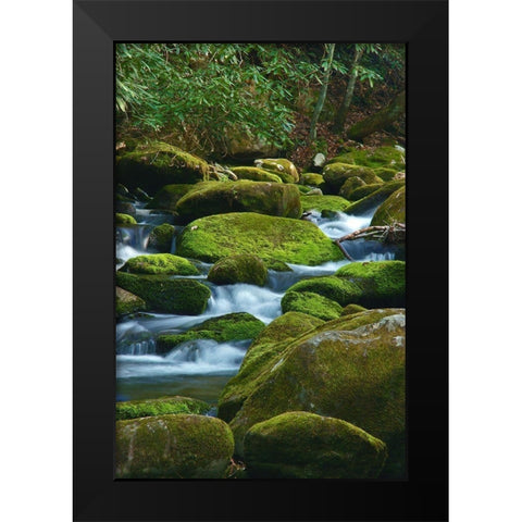 Water Falling over Boulders on Roaring Fork Motor Nature Trail Black Modern Wood Framed Art Print by Miller, Anna