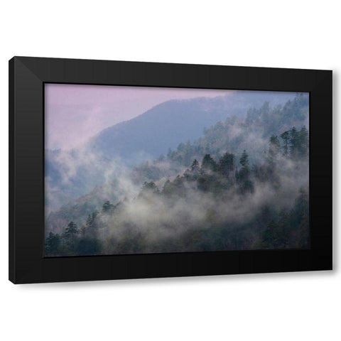 Mountain Clouds at Newfound Gap-Smoky Mountains National Park-Tennessee-USA Black Modern Wood Framed Art Print with Double Matting by Miller, Anna