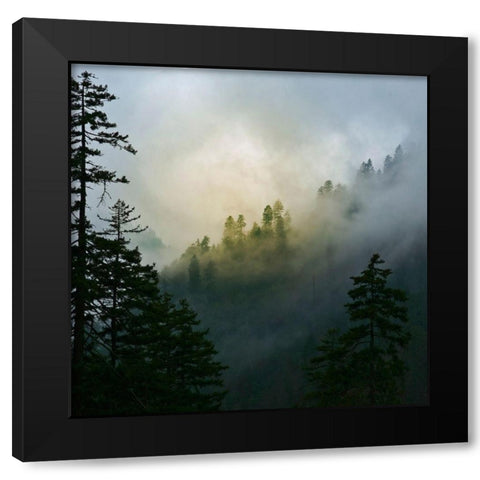 Mountain Clouds at Newfound Gap-Smoky Mountains National Park-Tennessee-USA Black Modern Wood Framed Art Print by Miller, Anna