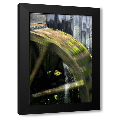 TN, Cades Cove Grist mill water wheel in motion Black Modern Wood Framed Art Print with Double Matting by Kaveney, Wendy