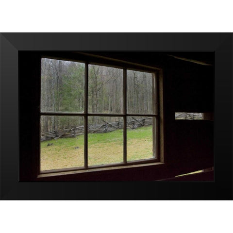 TN, Great Smoky Mts Jim Bales abandoned cabin Black Modern Wood Framed Art Print by Kaveney, Wendy