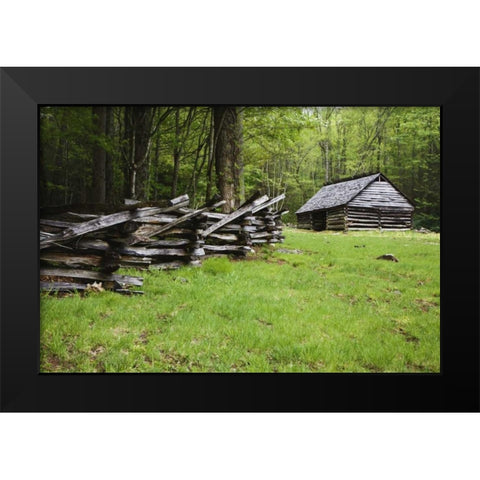 TN, Great Smoky Mts Fence and abandoned stable Black Modern Wood Framed Art Print by Flaherty, Dennis