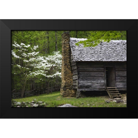 TN, Great Smoky Mts Log cabin and blooming trees Black Modern Wood Framed Art Print by Flaherty, Dennis