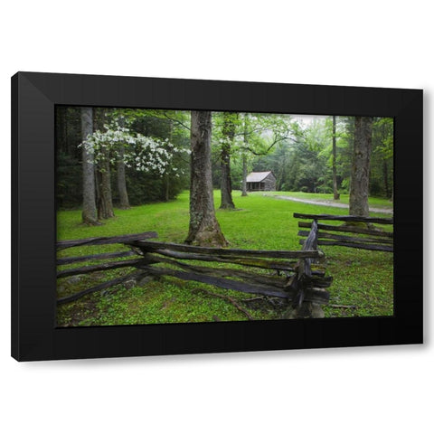 TN, Great Smoky Mts Fence and abandoned cabin Black Modern Wood Framed Art Print with Double Matting by Flaherty, Dennis