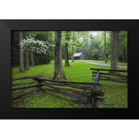 TN, Great Smoky Mts Fence and abandoned cabin Black Modern Wood Framed Art Print by Flaherty, Dennis