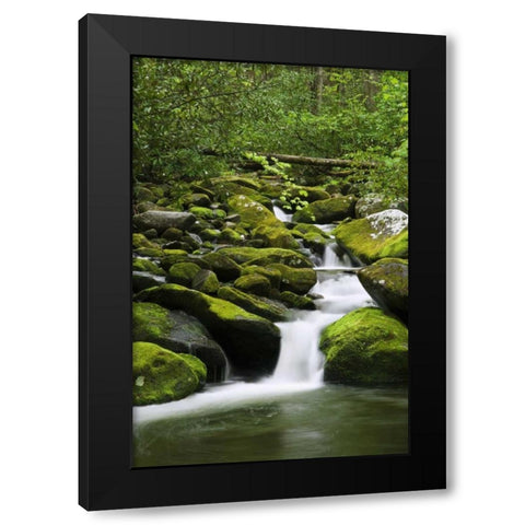 TN, Great Smoky Mts Stream cascades under bridge Black Modern Wood Framed Art Print by Flaherty, Dennis