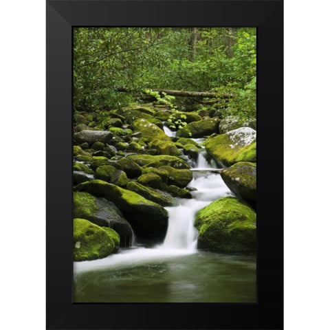 TN, Great Smoky Mts Stream cascades under bridge Black Modern Wood Framed Art Print by Flaherty, Dennis