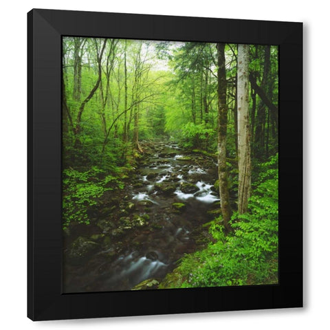 Tennessee, Stream in The Great Smoky Mts Black Modern Wood Framed Art Print with Double Matting by Talbot Frank, Christopher