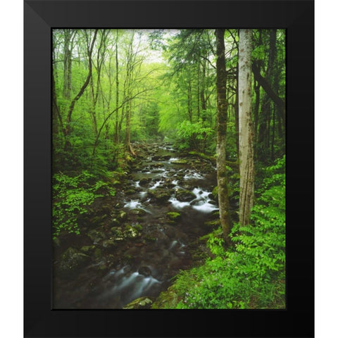 Tennessee, Stream in The Great Smoky Mts Black Modern Wood Framed Art Print by Talbot Frank, Christopher