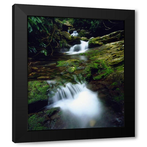 Tennessee, Stream in The Great Smoky Mts Black Modern Wood Framed Art Print by Talbot Frank, Christopher