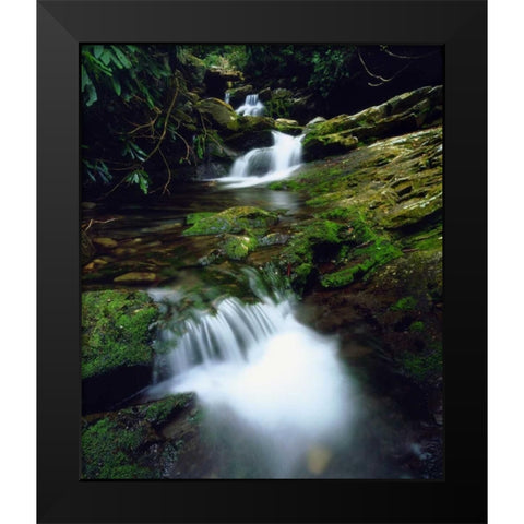 Tennessee, Stream in The Great Smoky Mts Black Modern Wood Framed Art Print by Talbot Frank, Christopher