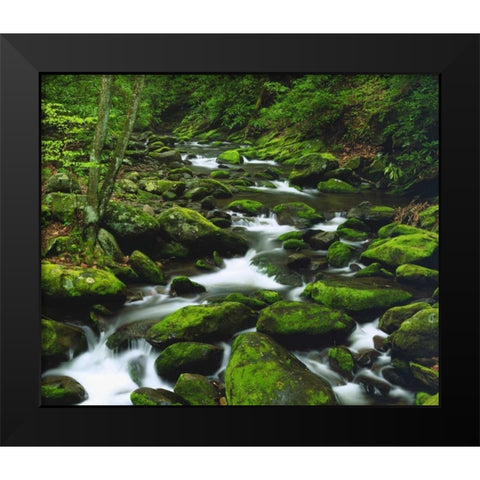 Tennessee, Stream in The Great Smoky Mts Black Modern Wood Framed Art Print by Talbot Frank, Christopher