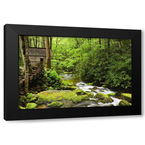 TN The Tub Mill along the Roaring Fork creek Black Modern Wood Framed Art Print with Double Matting by Flaherty, Dennis