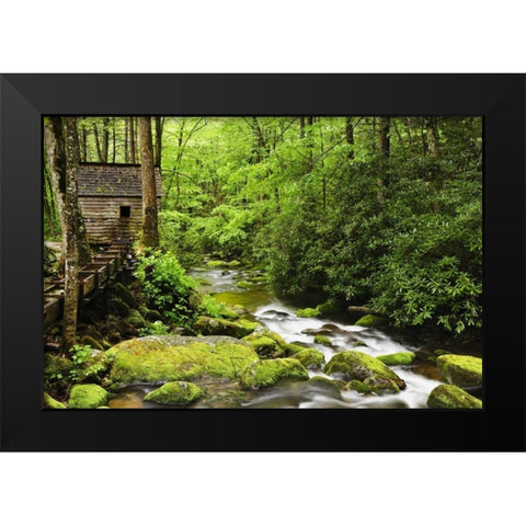 TN The Tub Mill along the Roaring Fork creek Black Modern Wood Framed Art Print by Flaherty, Dennis