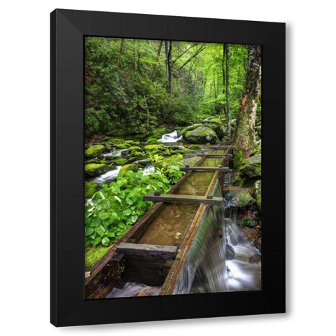 TN, Great Smoky Mts View of the Tub Mill flume Black Modern Wood Framed Art Print by Flaherty, Dennis