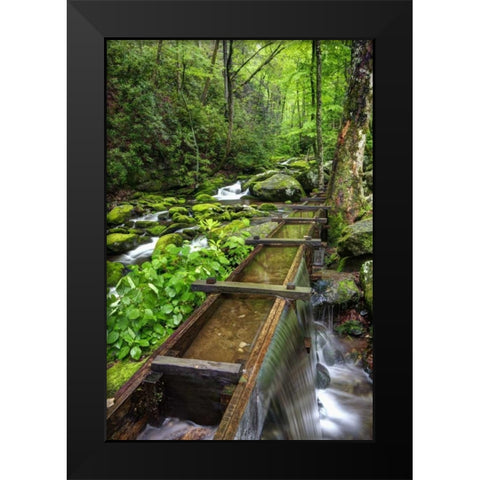 TN, Great Smoky Mts View of the Tub Mill flume Black Modern Wood Framed Art Print by Flaherty, Dennis