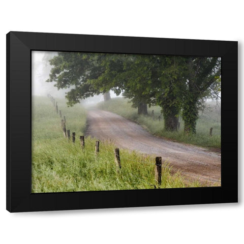 Tennessee, Great Smoky Mts A road in Cades Cove Black Modern Wood Framed Art Print with Double Matting by Flaherty, Dennis