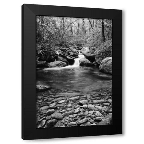 TN, Great Smoky Mts Cascading creek and pool Black Modern Wood Framed Art Print with Double Matting by Flaherty, Dennis