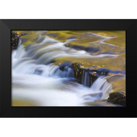 TN, Cherokee NF Reflections on North River Black Modern Wood Framed Art Print by Paulson, Don