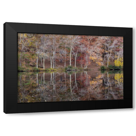 TN, Cumberland Mountain SP Byrd Lake, Tennessee Black Modern Wood Framed Art Print with Double Matting by Paulson, Don