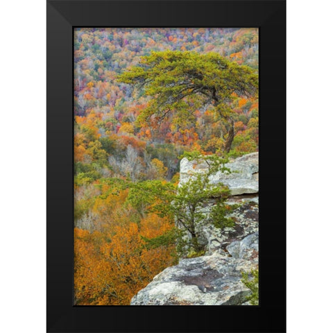 TN, Fall Creek Falls SP Buzzards Roost Black Modern Wood Framed Art Print by Paulson, Don