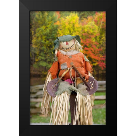 USA, Tennessee, Townsend Halloween scarecrow Black Modern Wood Framed Art Print by Zuckerman, Jim