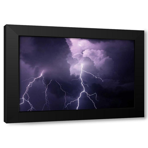 TN, Composite of cloud-to-cloud lightning bolts Black Modern Wood Framed Art Print by Zuckerman, Jim