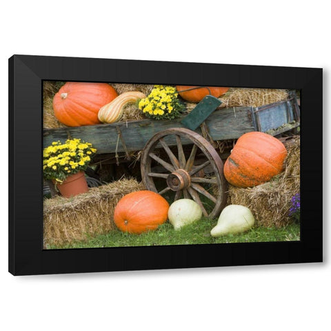Tennessee, Townsend Halloween display Black Modern Wood Framed Art Print with Double Matting by Zuckerman, Jim