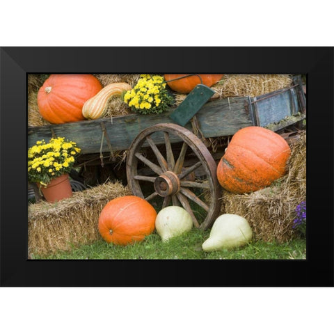 Tennessee, Townsend Halloween display Black Modern Wood Framed Art Print by Zuckerman, Jim