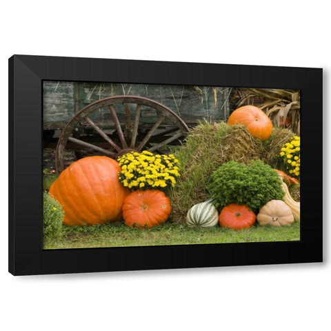 Tennessee, Townsend Halloween display Black Modern Wood Framed Art Print by Zuckerman, Jim
