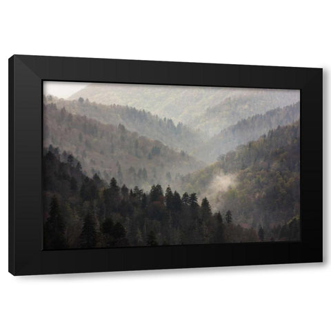 TN, Great Smoky Mts Mist rises in a valley Black Modern Wood Framed Art Print with Double Matting by Grall, Don