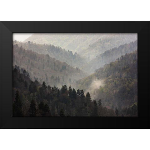 TN, Great Smoky Mts Mist rises in a valley Black Modern Wood Framed Art Print by Grall, Don