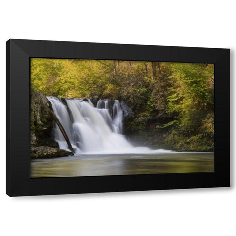 Tennessee, Great Smoky Mts Abrams Falls Black Modern Wood Framed Art Print with Double Matting by Grall, Don