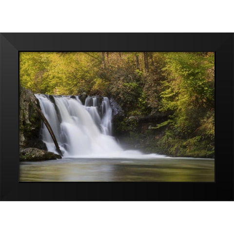 Tennessee, Great Smoky Mts Abrams Falls Black Modern Wood Framed Art Print by Grall, Don