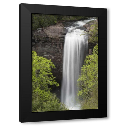 TN, Foster Falls Wild Area Waterfall scenic Black Modern Wood Framed Art Print by Grall, Don
