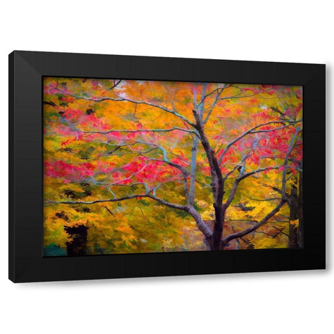 Tennessee Abstract of autumn forest landscape Black Modern Wood Framed Art Print by Jaynes Gallery