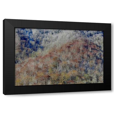 USA- Tennessee. Great Smoky Mountains National Park with late springtime snow Black Modern Wood Framed Art Print by Gulin, Darrell