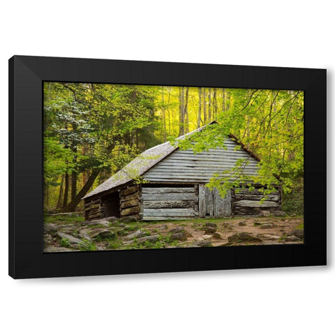 Tennessee Old barn at Bud Ogle cabin along Roaring Fork Nature Trail Black Modern Wood Framed Art Print with Double Matting by Wells, Joanne