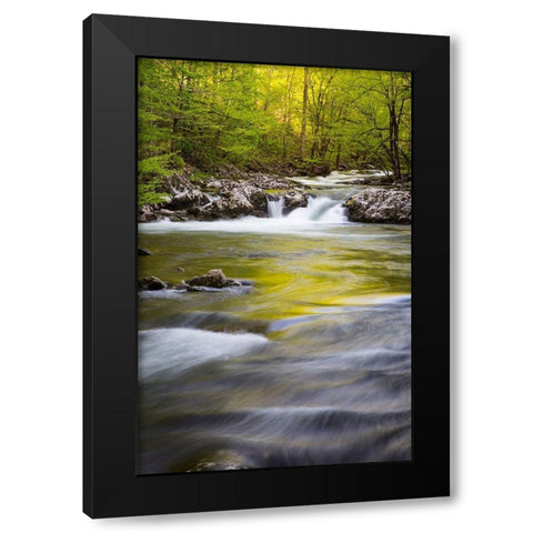 Tennessee Sparks Lane in the spring at Cades Cove Black Modern Wood Framed Art Print with Double Matting by Wells, Joanne